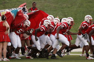 mk体育入口-全国青少年登山赛贵州赛段精彩刺激,青年登山活动 第2张 mk体育入口-全国青少年登山赛贵州赛段精彩刺激,青年登山活动 第2张