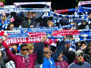 mk体育入口-球迷文化盛宴：从欧洲到亚洲的足球狂欢，中国足球球迷文化  第1张