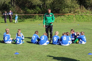 mk体育中国官网-瑞典团队战术：从快攻到慢球的多变打法，瑞典几分钟进球