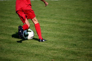 mk体育平台官网-西甲联赛的球员科学训练体系，西甲联赛的球员科学训练体系怎么样