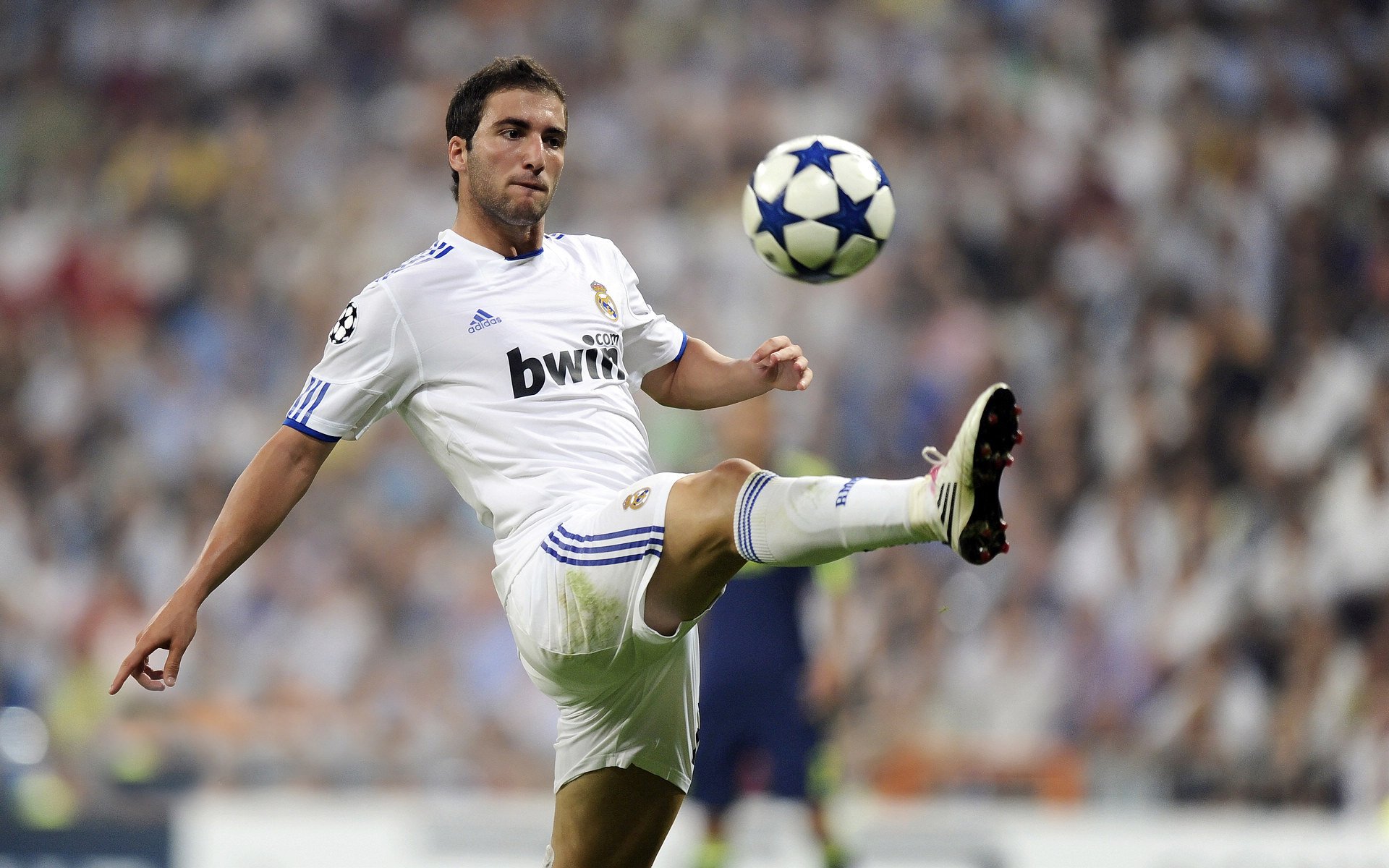 mk体育官网-足球赛事志愿者招募火热进行中，体验赛场幕后，足球比赛志愿者需要干什么