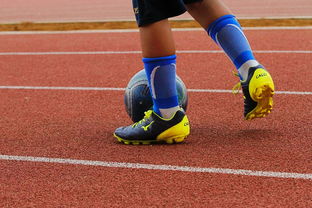 mk体育官网入口-中国足球联赛加强与国际转会市场信息实时对接，中国足协转会窗口